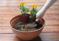 프로믹 모든 식물용